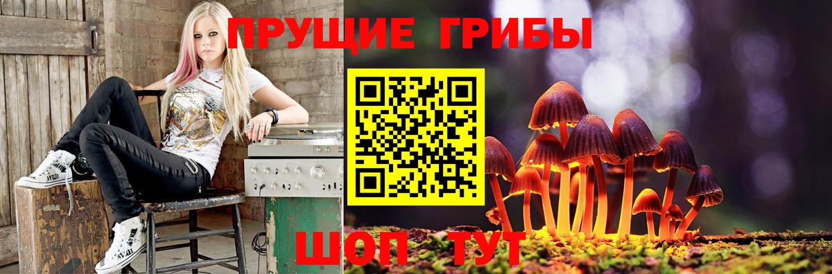 Галлюциногенные грибы Magic Shrooms Нефтекамск